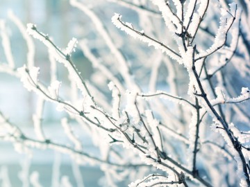 Achtung! Montag, 12.01.2026 ist die Schule geschlossen!